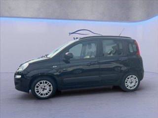 FIAT Panda 1.2 Easy 69cv