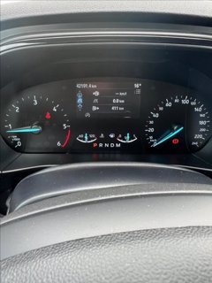 FORD Focus 1.5 ecoblue ST-Line Style 115cv auto