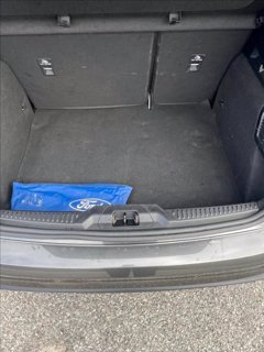 FORD Focus 1.5 ecoblue ST-Line Style 115cv auto