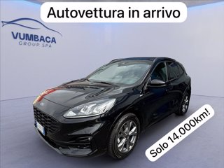FORD Kuga 1.5 ecoblue ST-Line X 2wd 120cv auto