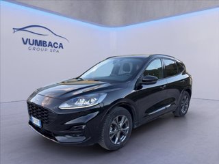 FORD Kuga 1.5 ecoblue ST-Line 2wd 120cv auto