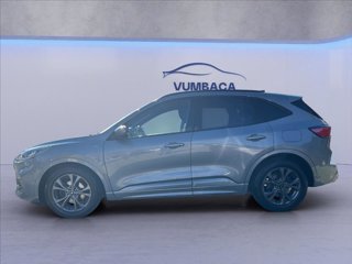 FORD Kuga 1.5 ecoblue ST-Line 2wd 120cv