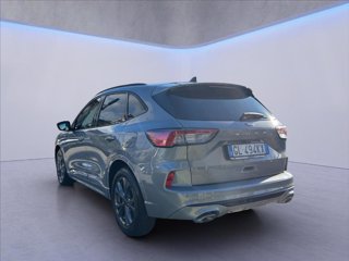 FORD Kuga 1.5 ecoblue ST-Line 2wd 120cv