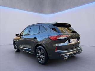 FORD Kuga 1.5 ecoblue ST-Line 2wd 120cv