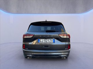 FORD Kuga 1.5 ecoblue ST-Line 2wd 120cv