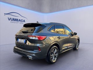 FORD Kuga 1.5 ecoblue ST-Line 2wd 120cv