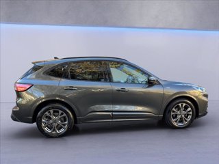 FORD Kuga 1.5 ecoblue ST-Line 2wd 120cv