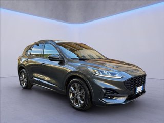 FORD Kuga 1.5 ecoblue ST-Line 2wd 120cv