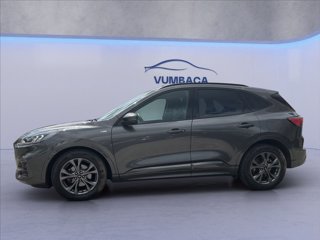 FORD Kuga 1.5 ecoboost ST-Line 2wd 150cv