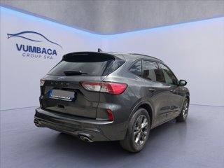 FORD Kuga 1.5 ecoboost ST-Line 2wd 150cv