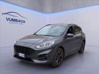 FORD Kuga 2.0 ecoblue ST-Line 2wd 120cv auto