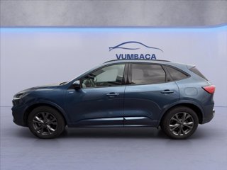 FORD Kuga 2.0 ecoblue ST-Line X awd 120cv auto