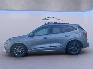 FORD Kuga 1.5 ecoblue ST-Line 2wd 120cv