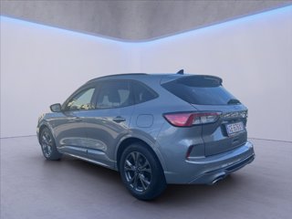 FORD Kuga 1.5 ecoblue ST-Line 2wd 120cv