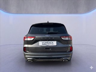 FORD Kuga 1.5 ecoblue ST-Line 2wd 120cv