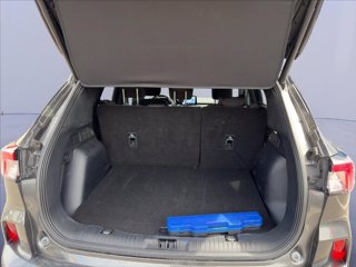 FORD Kuga 2.5 full hybrid ST-Line 2wd 190cv cvt