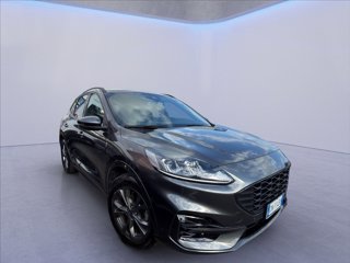 FORD Kuga 2.0 ecoblue mhev ST-Line 2wd 150cv