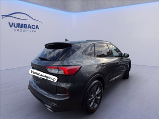 FORD Kuga 2.0 ecoblue mhev ST-Line 2wd 150cv