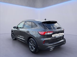 FORD Kuga 2.0 ecoblue mhev ST-Line 2wd 150cv