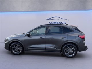 FORD Kuga 2.0 ecoblue mhev ST-Line 2wd 150cv