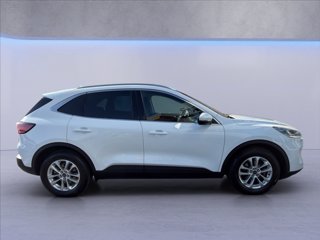 FORD Kuga 1.5 ecoblue Titanium 2wd 120cv auto