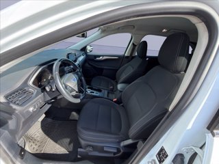 FORD Kuga 1.5 ecoblue Titanium 2wd 120cv auto
