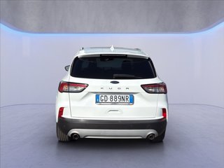 FORD Kuga 1.5 ecoblue Titanium 2wd 120cv auto