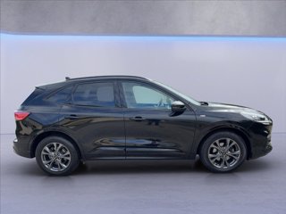FORD Kuga 2.5 full hybrid ST-Line 2wd 190cv cvt