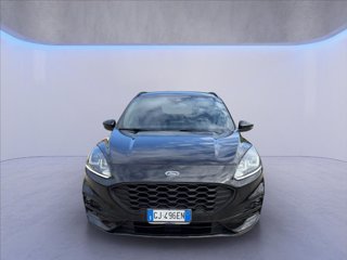 FORD Kuga 2.5 full hybrid ST-Line 2wd 190cv cvt