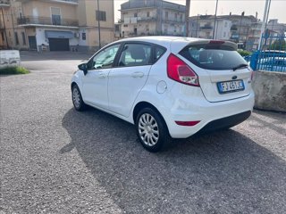 FORD Fiesta 5p 1.4 Plus Gpl 95cv E6